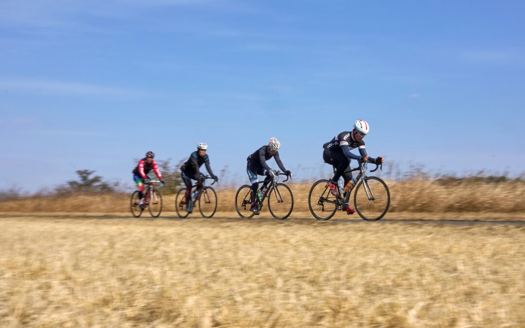 Alla medlemmar upplagda i MyClub